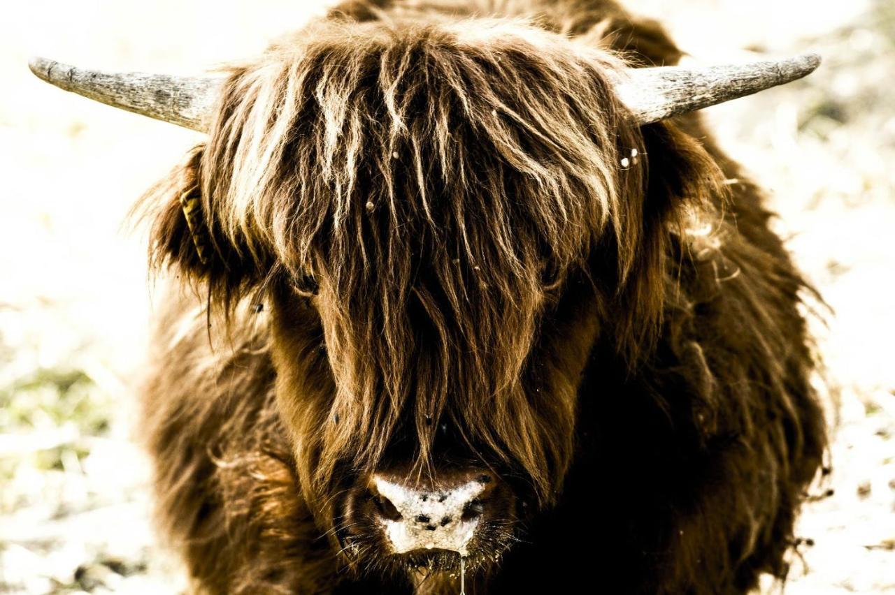 Montanari Agrivillage ナルニ エクステリア 写真