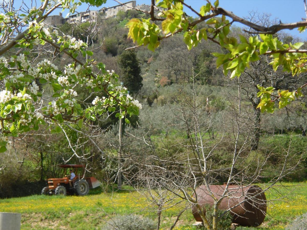Montanari Agrivillage ナルニ エクステリア 写真