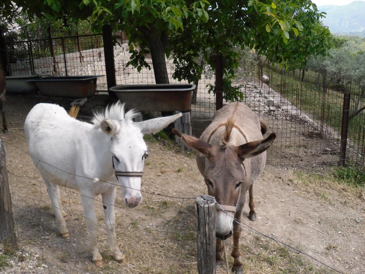 Montanari Agrivillage ナルニ エクステリア 写真