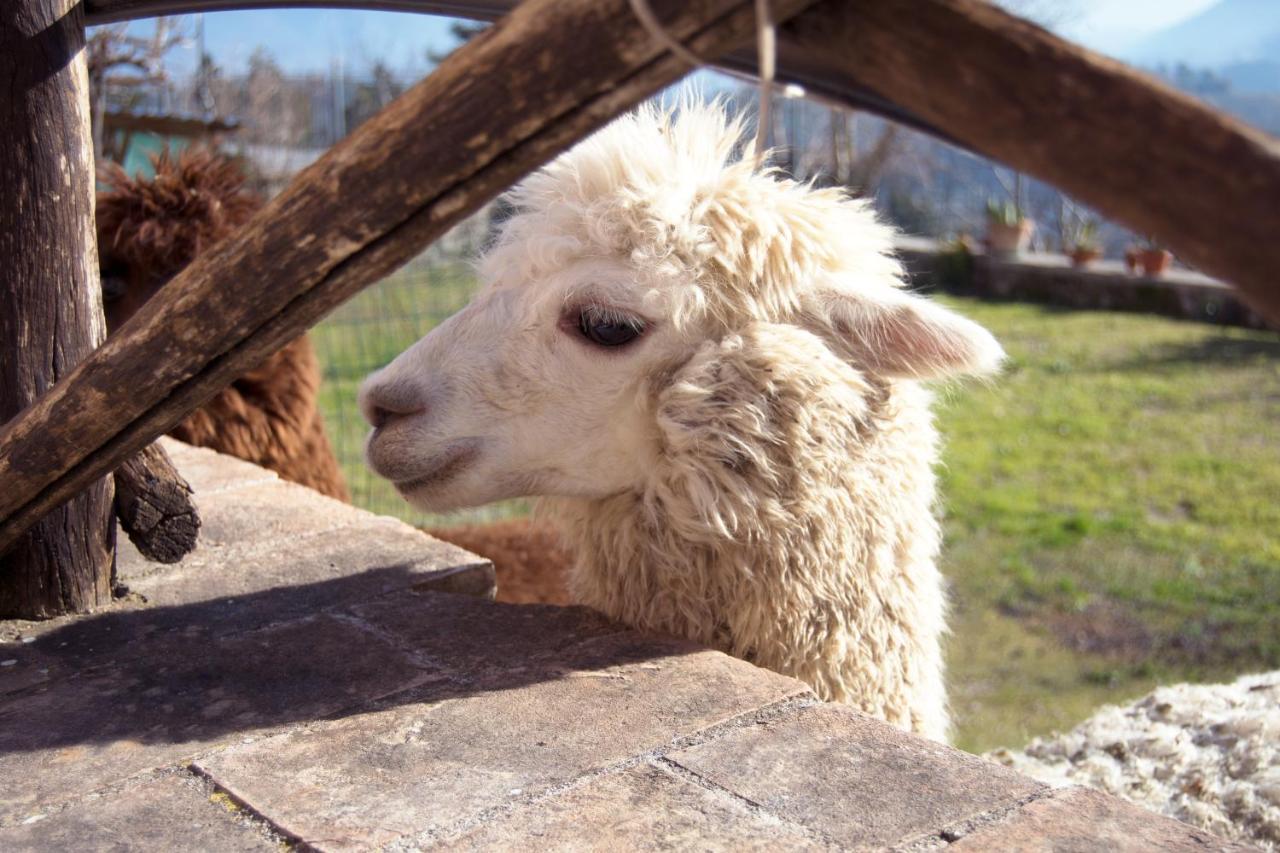 Montanari Agrivillage ナルニ エクステリア 写真