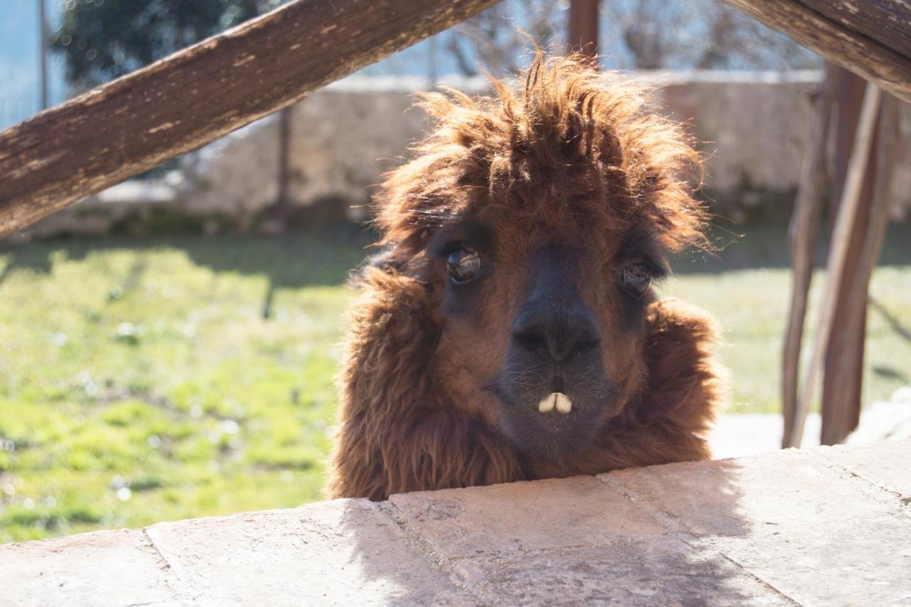 Montanari Agrivillage ナルニ エクステリア 写真